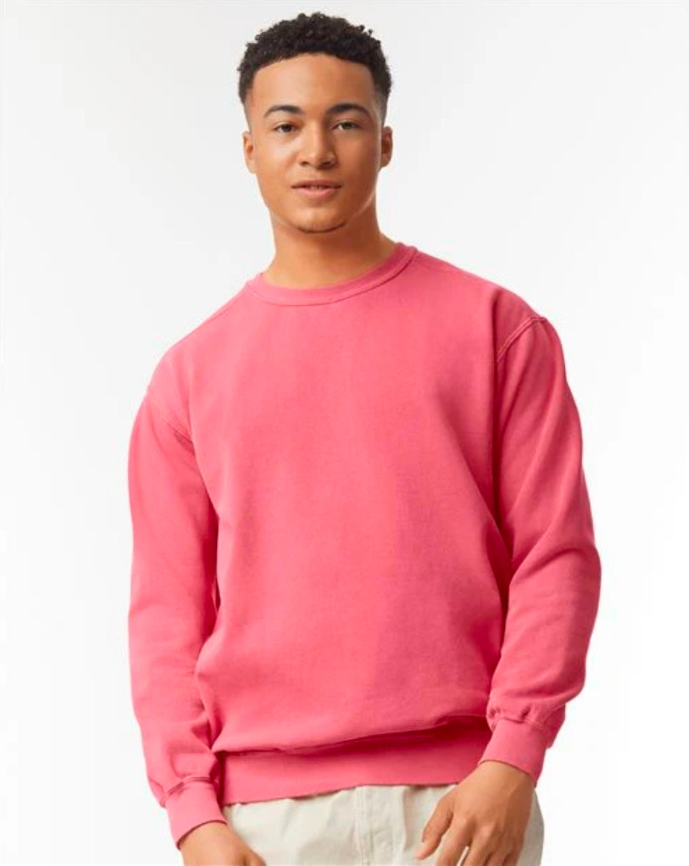 Some Things Are Better Left Alone Comfort Color Crewneck