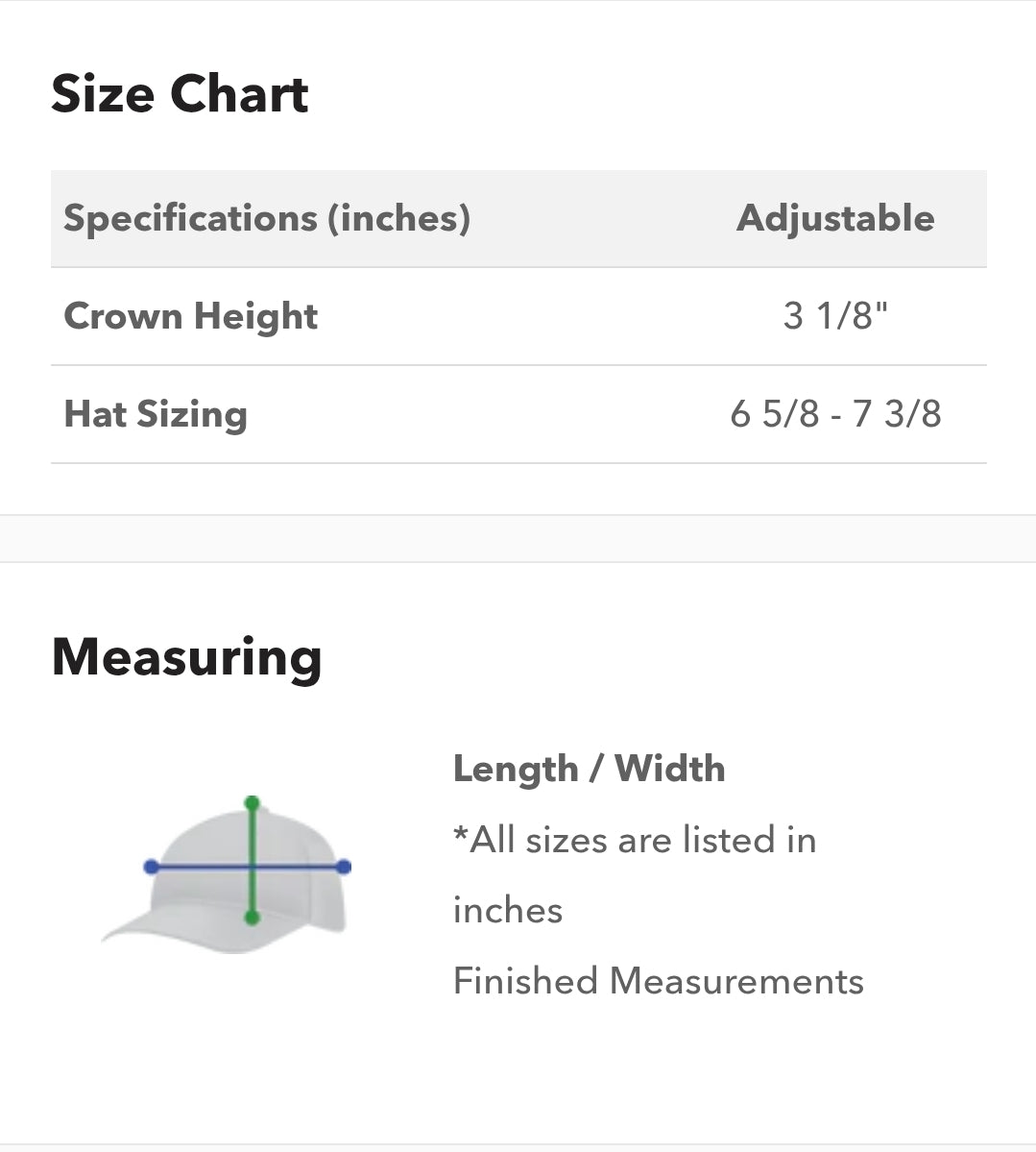 Adult Charcoal Grey Shark Hat