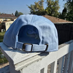 Adult Light Blue Dinosaur Hat